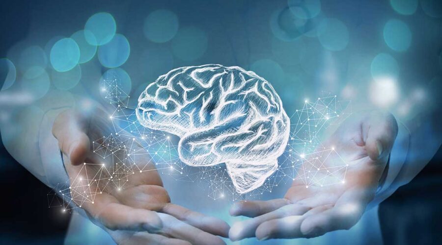 Elevate Your Mind: BrainDTX and Cognitive Enhancement
