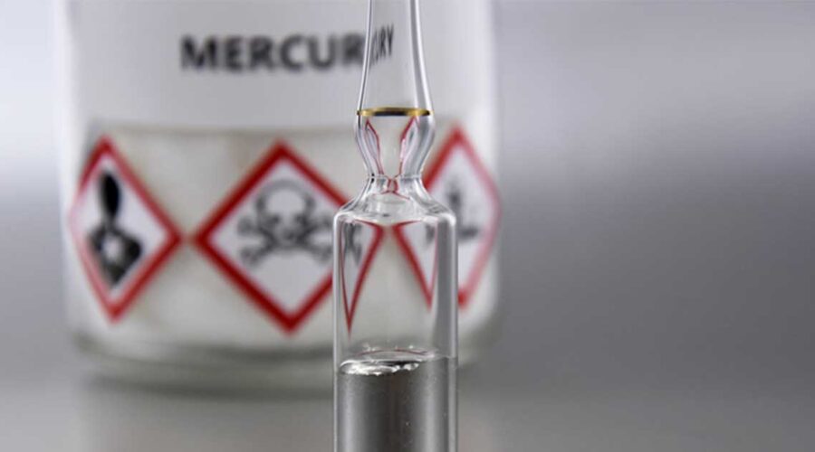 Exploring the Impact of Mercury Poisoning on Human Health