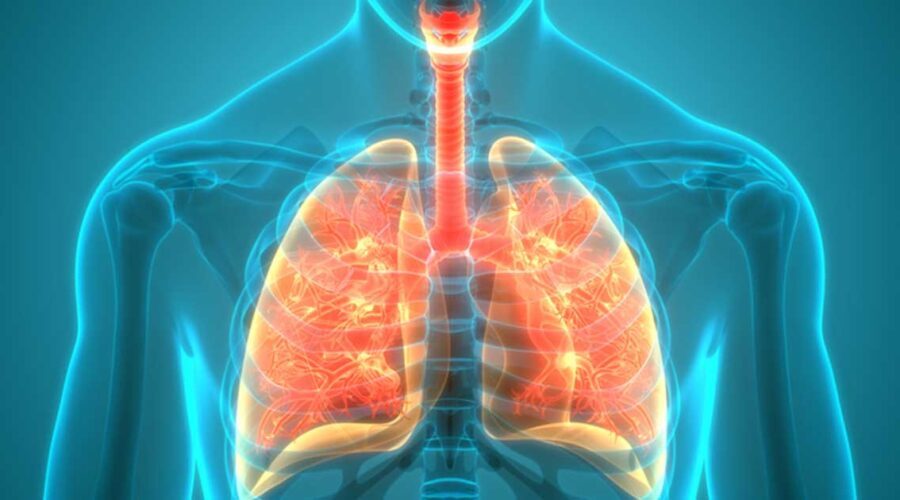 Heavy Metal Exposure and Respiratory Health