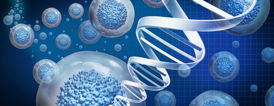 The Role of Stem Cells in Regenerative Medicine