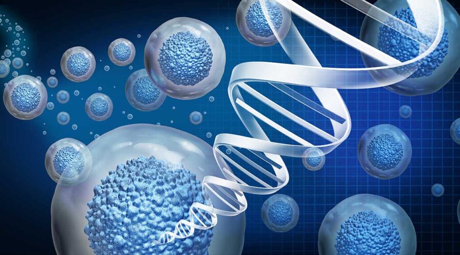 The Role of Stem Cells in Regenerative Medicine